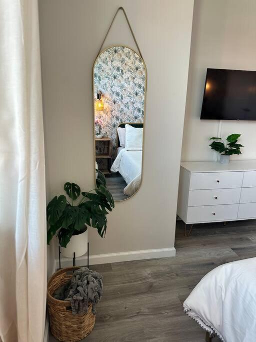 Home Haven, Walk To Little Italy & Wooster Square New Haven Bagian luar foto