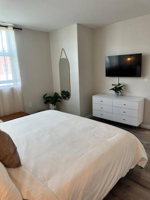 Home Haven, Walk To Little Italy & Wooster Square New Haven Bagian luar foto